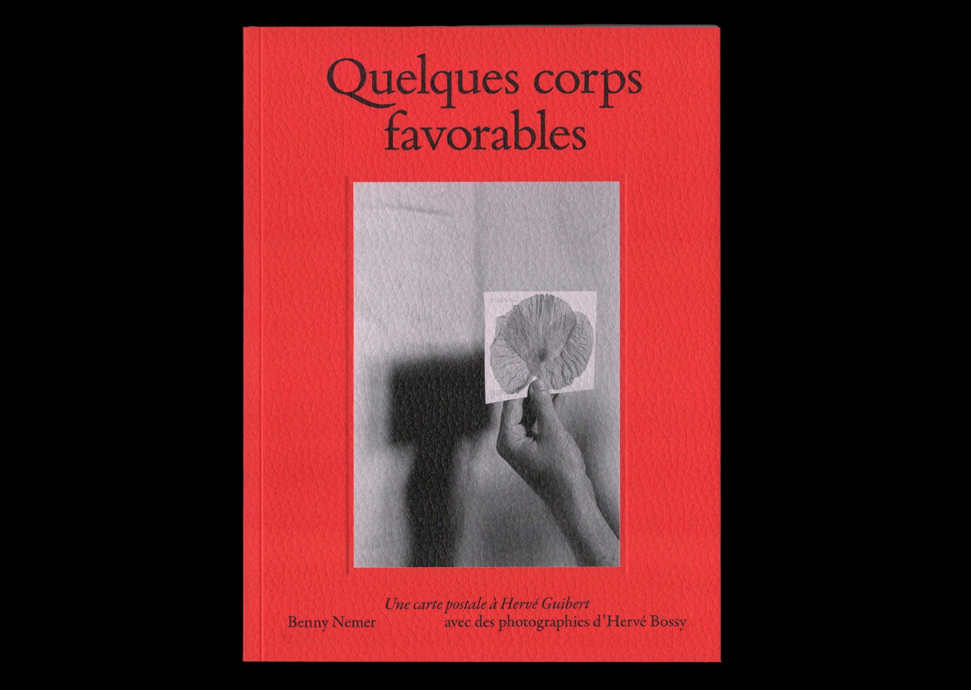 Quelques corps favorables 1
