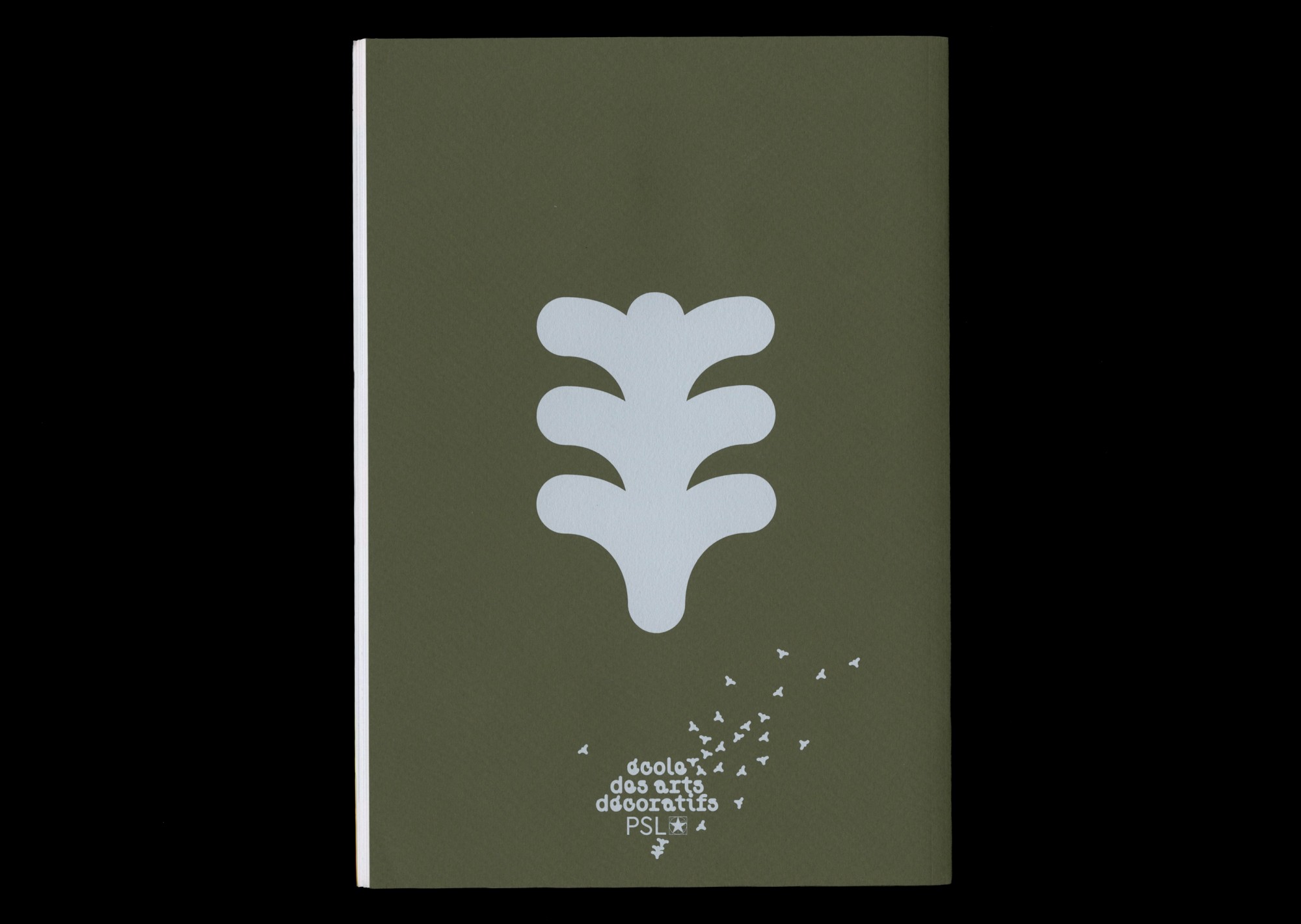 Rapport d’activité 24–25 16